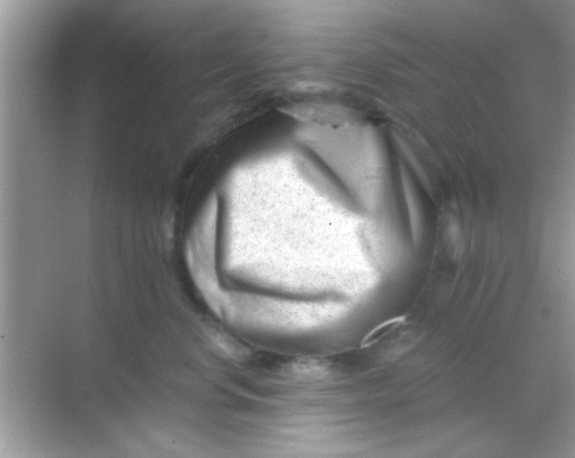 X0000068280668200605051843