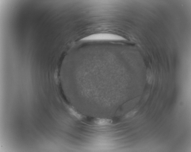 X0000068280670200605051843