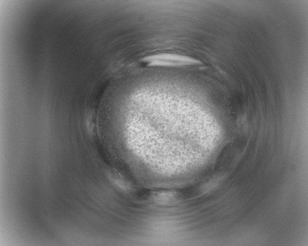 X0000068280671200605051843