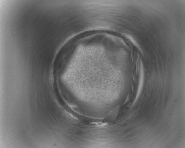 X0000068280676200605051842