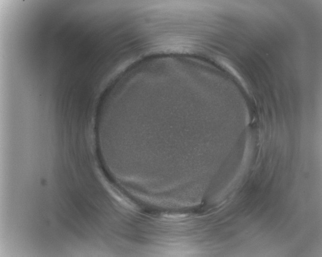 X0000068280677200605051842