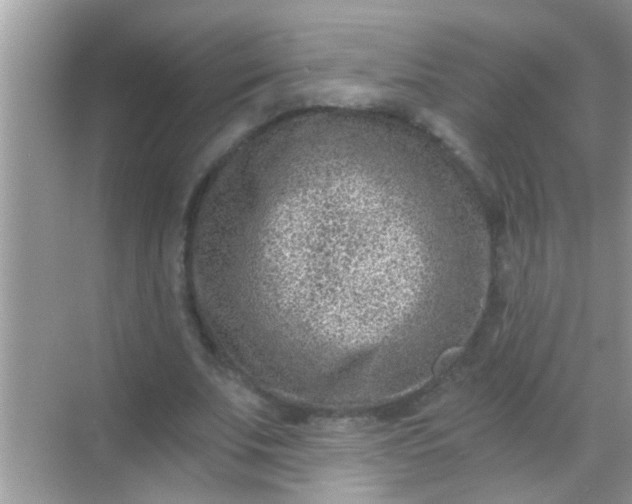 X0000068280679200605051842