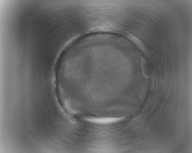 X0000068280680200605051842