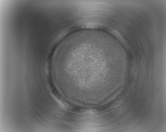 X0000068280683200605051842