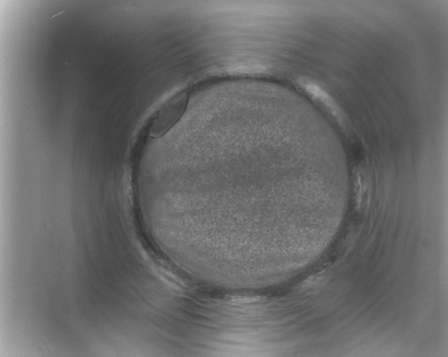 X0000068280684200605051842