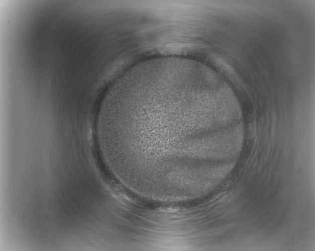 X0000068280687200605051842