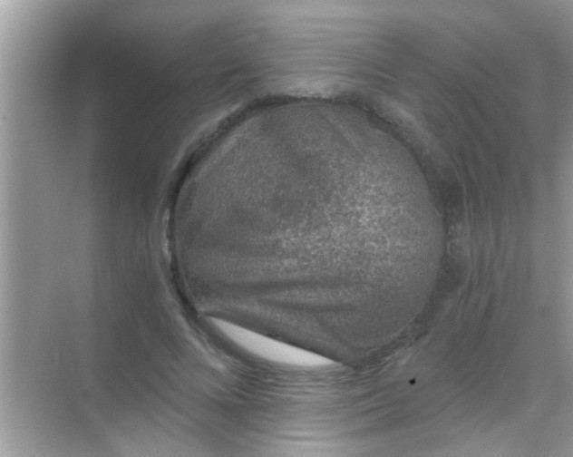 X0000068280688200605051842