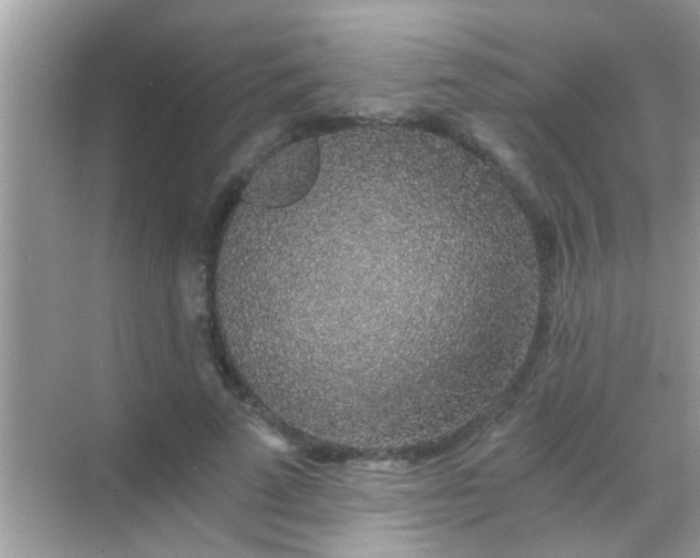 X0000068280689200605051842