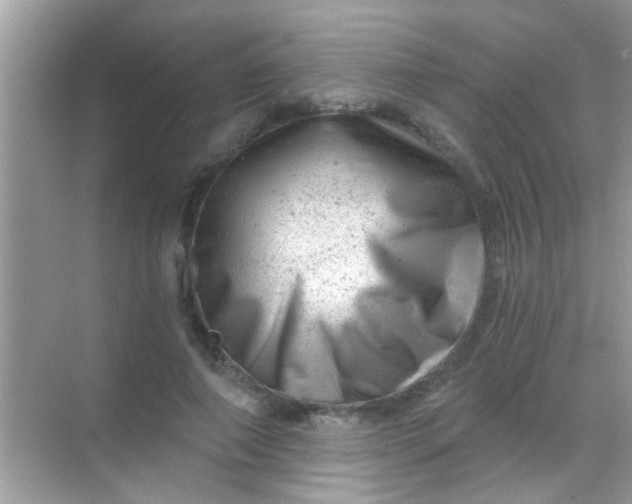 X0000068280690200605051842