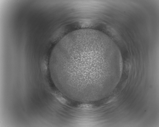 X0000068280691200605051842