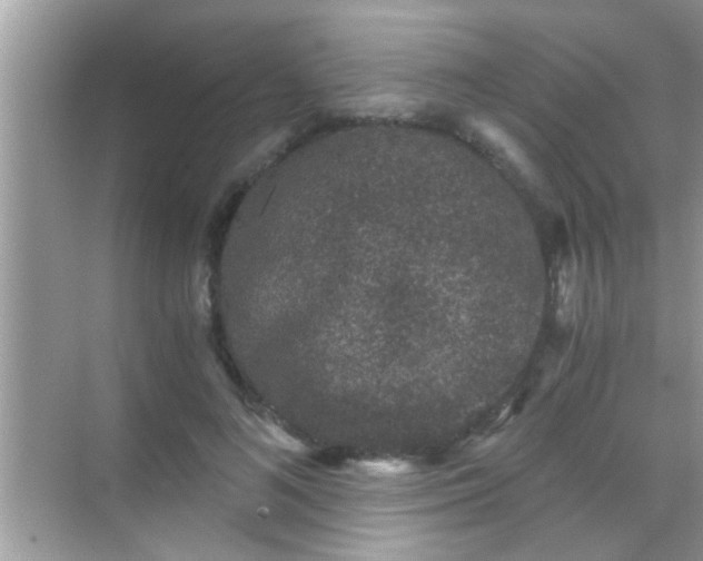 X0000068280692200605051842