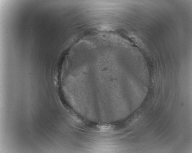 X0000068280693200605051842