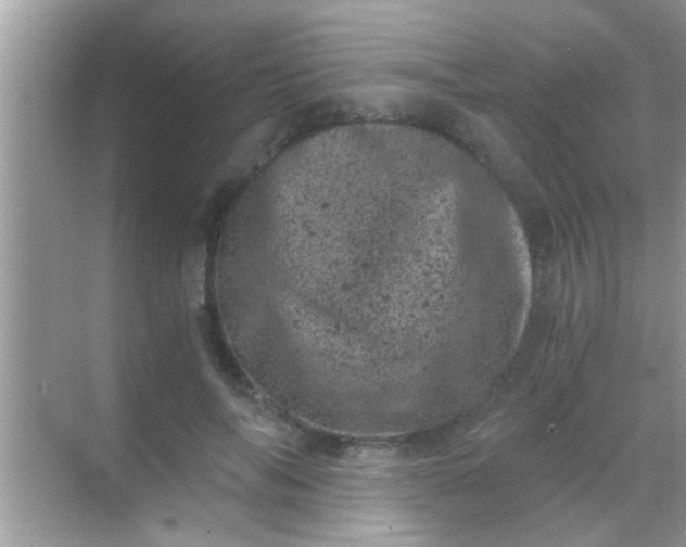 X0000068280694200605051842