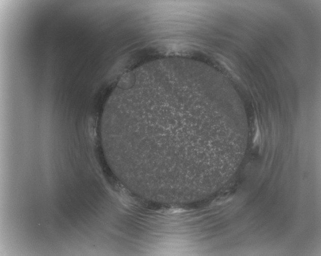 X0000068280695200605051842