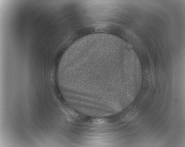 X0000068280698200605051842