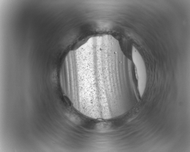 X0000068280700200605051842