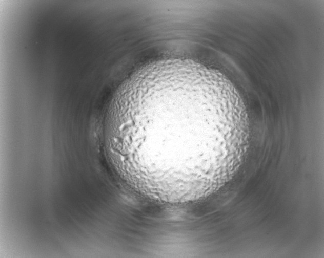 X0000068280701200605051842