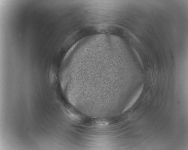 X0000068280702200605051842