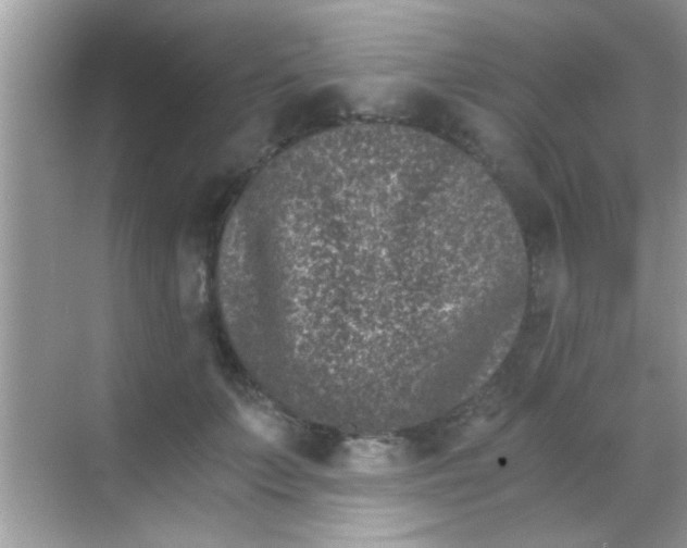 X0000068280703200605051842