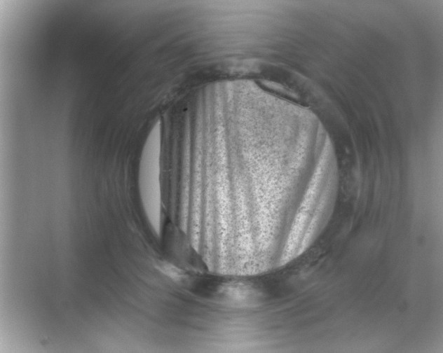 X0000068280704200605051842