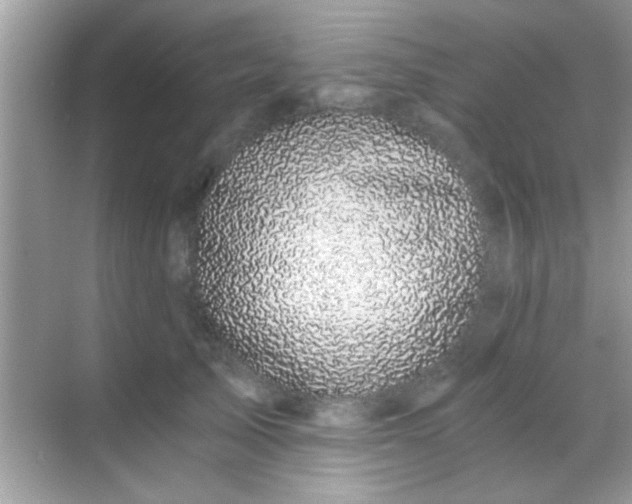 X0000068280705200605051842