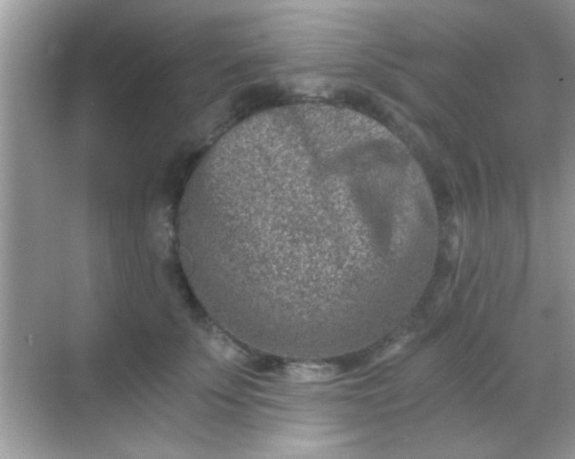 X0000068280707200605051842