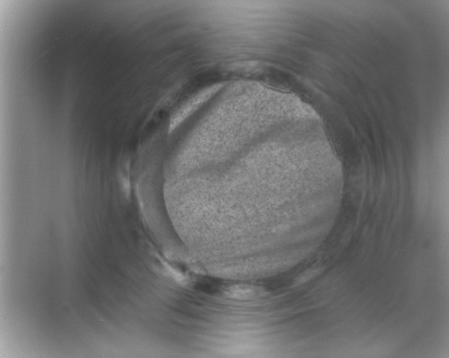 X0000068280708200605051842