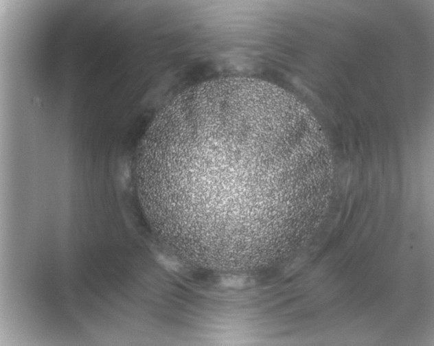 X0000068280709200605051841