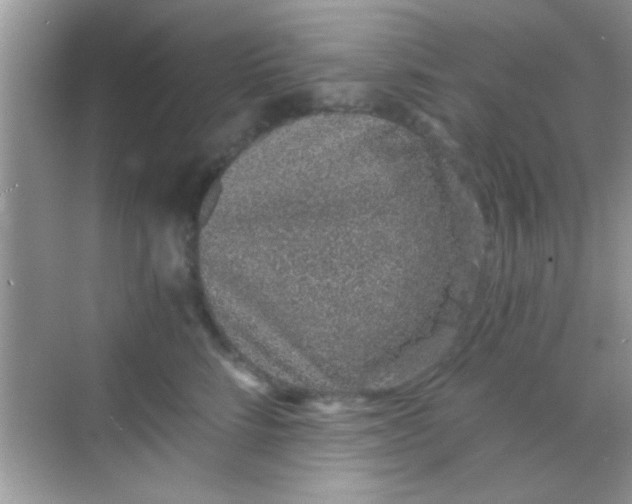 X0000068280712200605051841