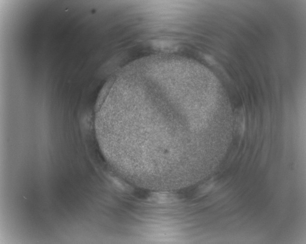 X0000068280713200605051841