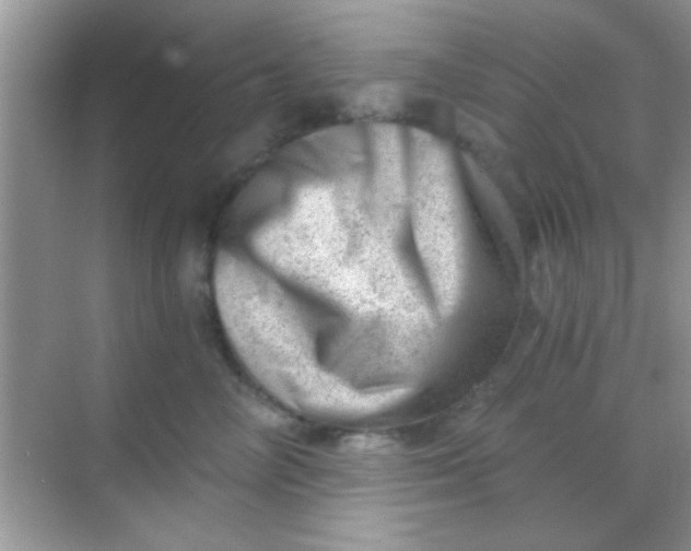 X0000068280714200605051841