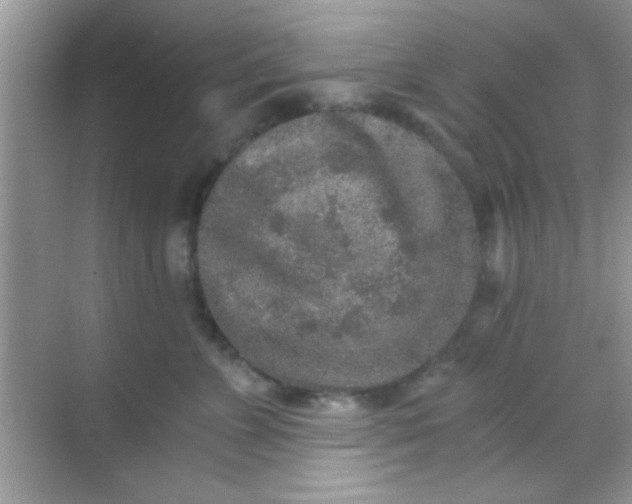 X0000068280715200605051841