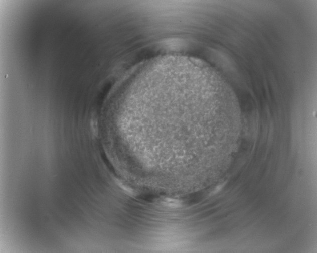 X0000068280718200605051841