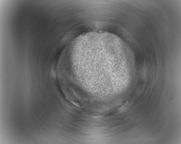 X0000068280719200605051841