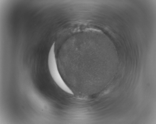 X0000068280720200605051841