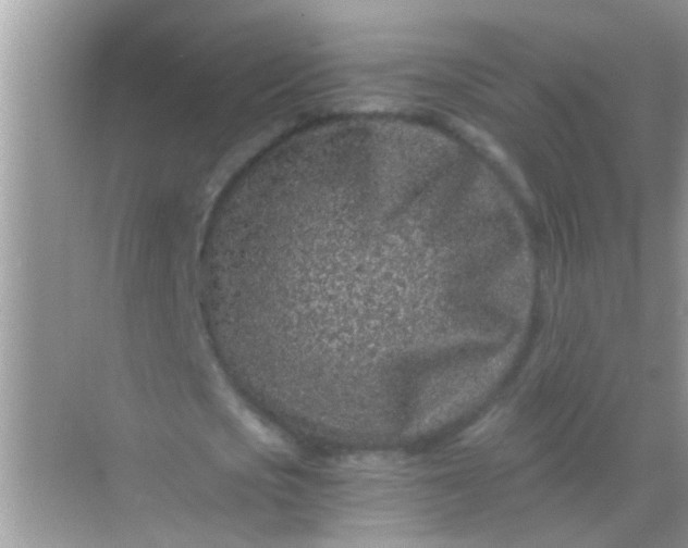 X0000068280721200605051840