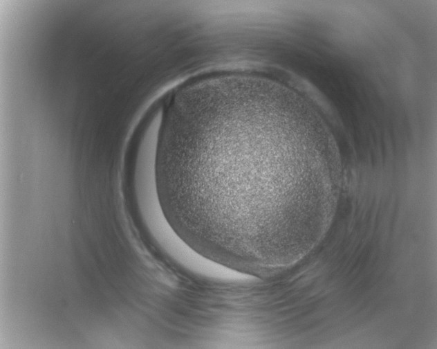 X0000068280724200605051841