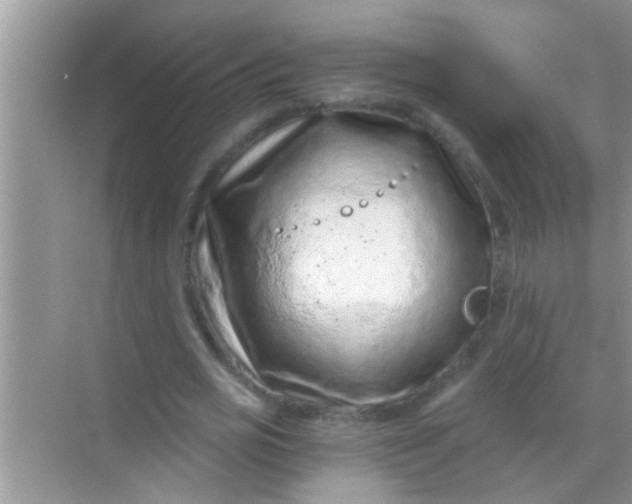 X0000068280725200605051841