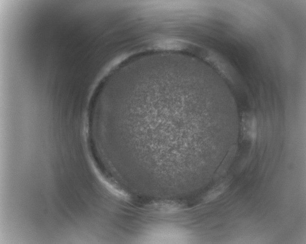 X0000068280726200605051841