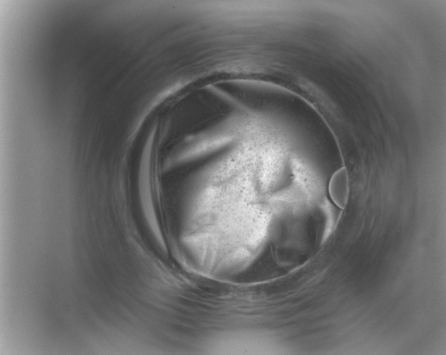 X0000068280727200605051841