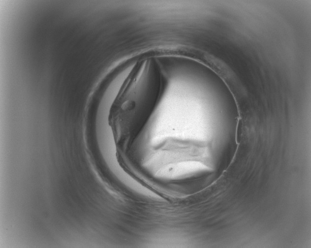 X0000068280728200605051841