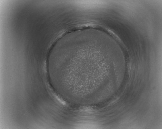 X0000068280729200605051841