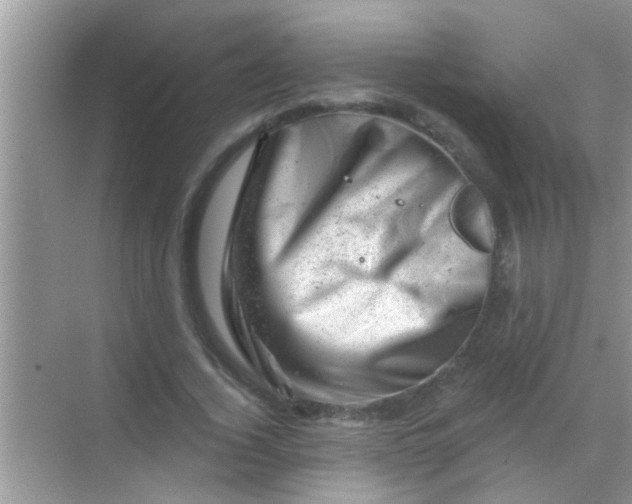 X0000068280732200605051841