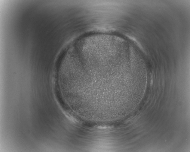 X0000068280736200605051841