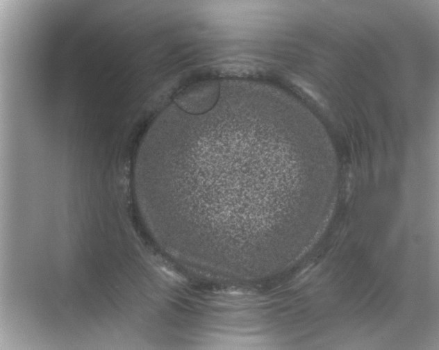 X0000068280737200605051841