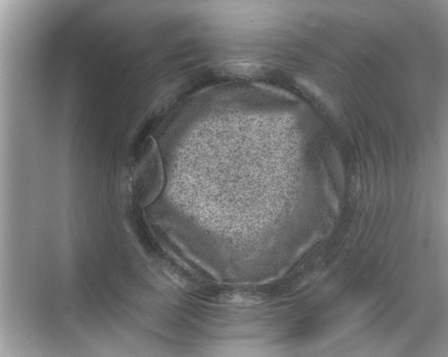 X0000068280739200605051841