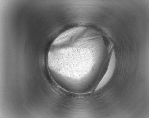 X0000068280740200605051841