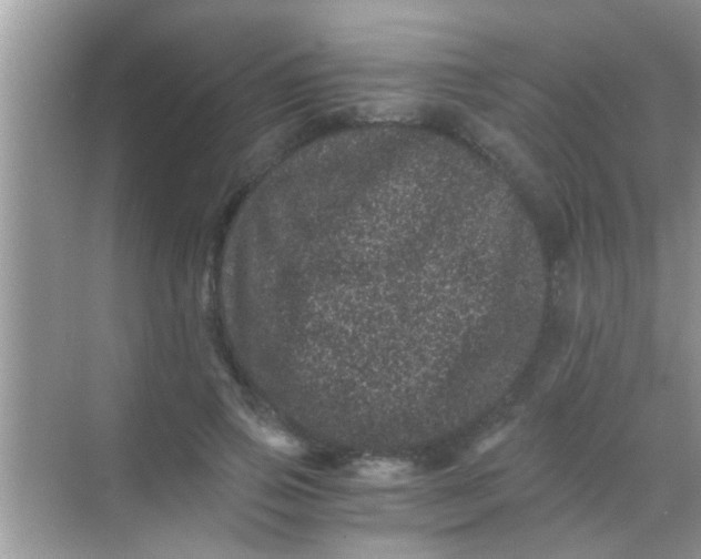 X0000068280741200605051841