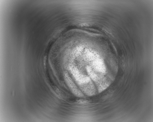 X0000068280742200605051841