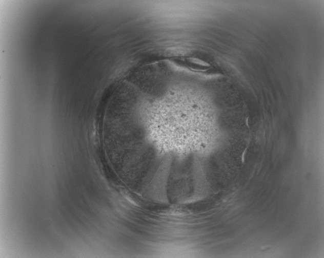 X0000068280743200605051841